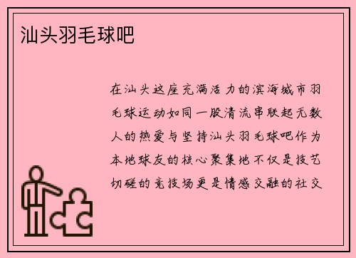 汕头羽毛球吧