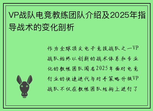 VP战队电竞教练团队介绍及2025年指导战术的变化剖析